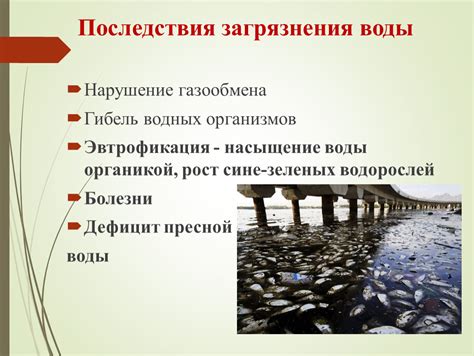 Экологические последствия сливания белизны