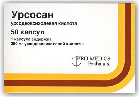 Эссенциале и Урсосан: общие принципы действия