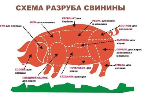  Белковое содержание в свиной шкуре вареной 