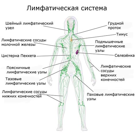  Что такое воспаление лимфоузла 