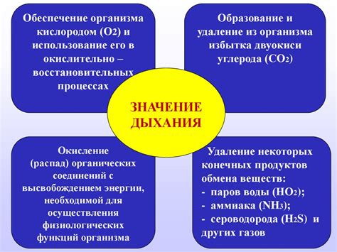 Артикул VAG и его значение