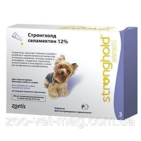 Безопасность стронгхолда для собаки
