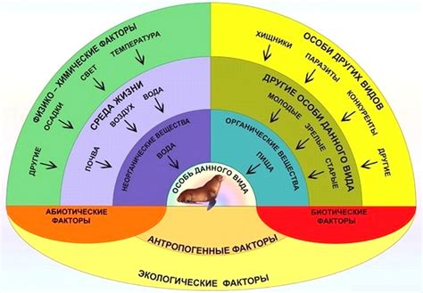 Важность анализа условий окружающей среды