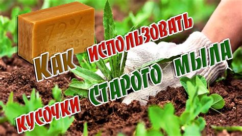 Возможные альтернативы использованию старого мыла