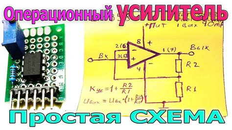Возможные последствия ошибки с тюльпанами на усилителе