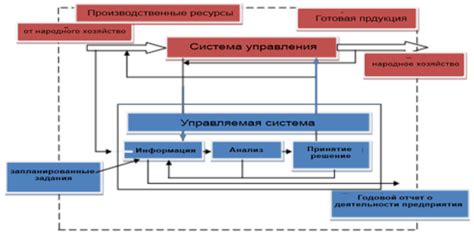 Графы оплаты и их роль в процессе готовки
