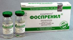 Действие препарата Пиростоп на организм собаки
