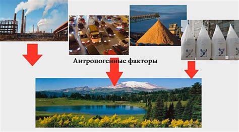 Естественные процессы и антропогенные факторы