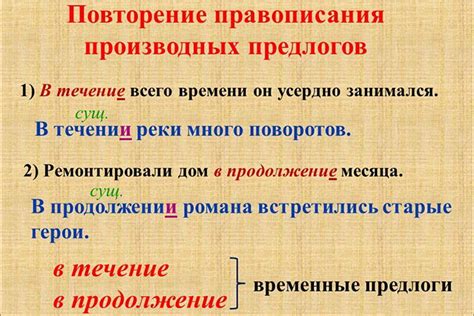 Играйте и тренируйте собаку в течение дня