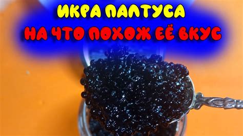 Икра палтуса: польза для здоровья и способы использования