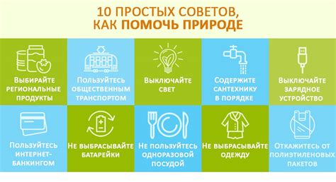 Как сохранить и помочь галке, залетевшей в дом