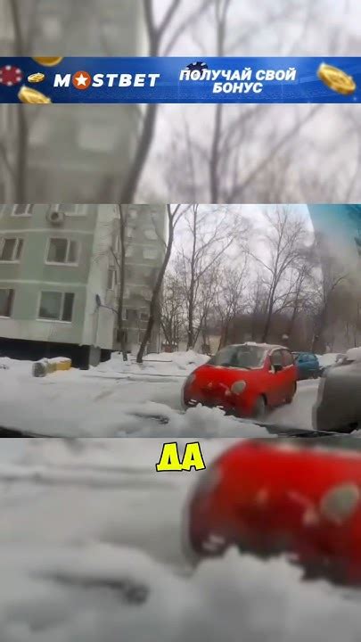 Неожиданное появление галки