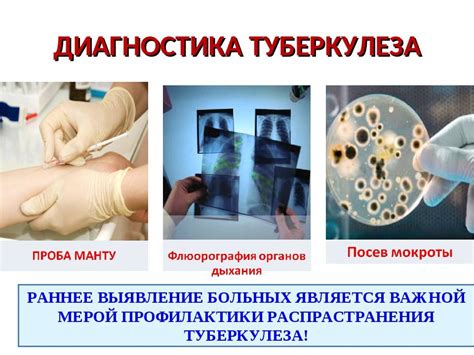 Обследования и диагностика различных заболеваний