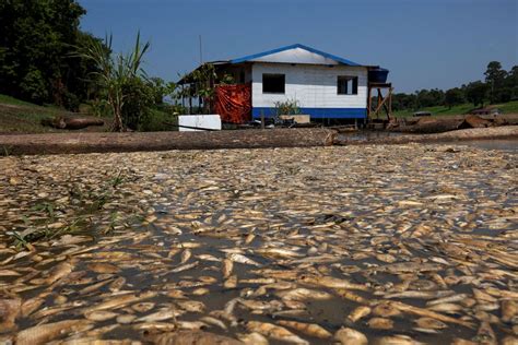 Ограничьте доступ к пище и воде ночью