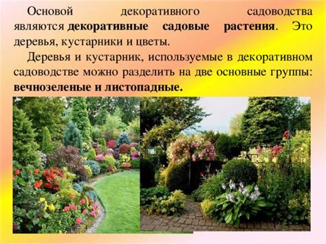 Основные преимущества коллективного садоводства и садоводства