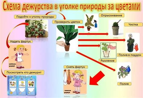 Особенности ухода за растениями в коллективном садоводстве