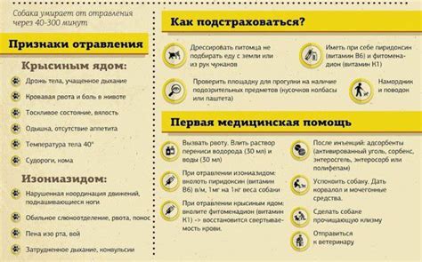 Первая помощь при отравлении собаки хлоркой