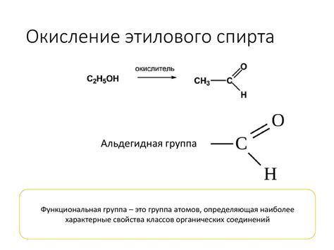 Поглощение спирта этилового организмом