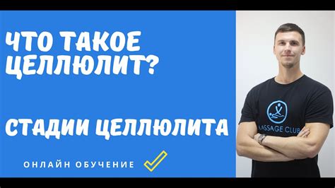Понятие ляшек
