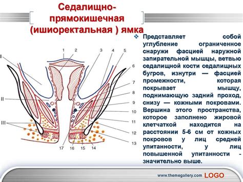 Последствия травмирования промежности у девушек