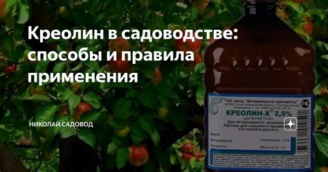 Правила участия в коллективном садоводстве и садоводстве