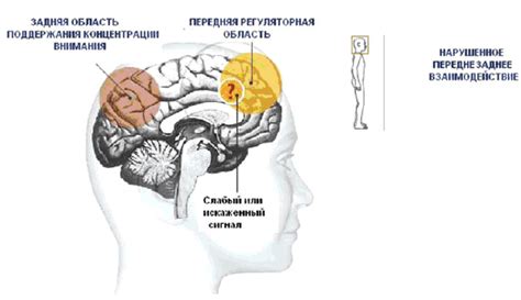 Признаки внимания