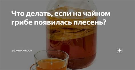 Причины отсутствия газировки в чайном грибе