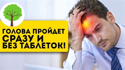 Проверенные рецепты китайских народных средств с одуванчиковым пухом
