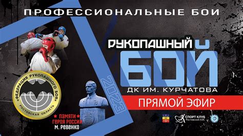 Профессиональные бои и титулы