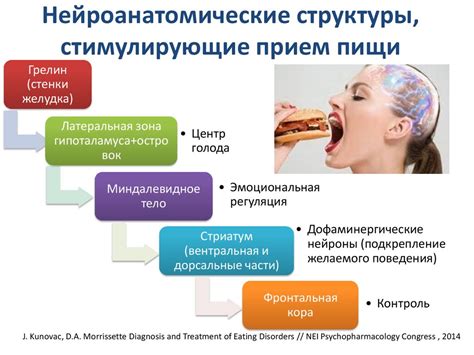 Психологические аспекты поведения гусей