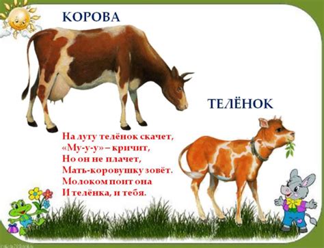 Различные истолкования сна о корове, рождающей белого теленка