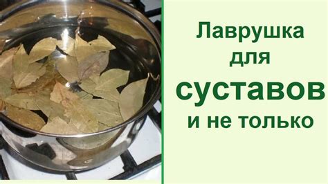 Различные методы лечения засохшего лаврового листа