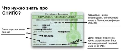 Расшифровка первых 3 цифр в СНИЛС