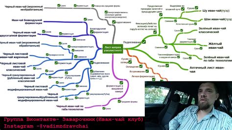 Расшифровка терминов