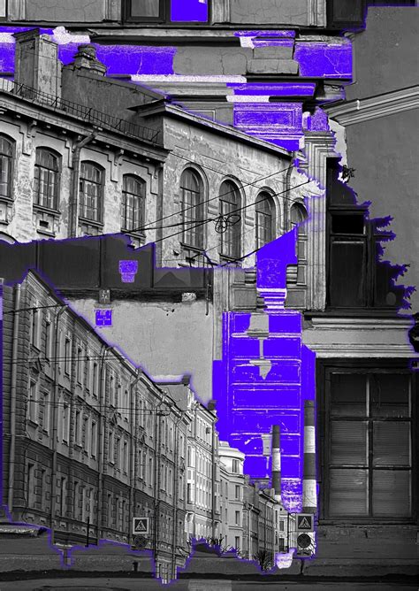 Редкость галки в городской среде