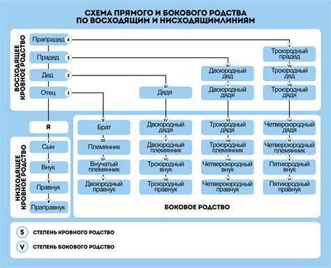 Родственники - связь крови