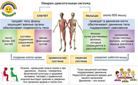 Роль и функции ключника