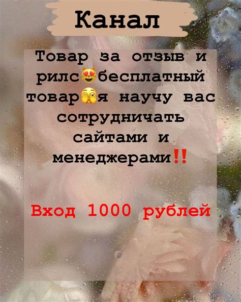 Участие в различных проектах и сотрудничество с брендами