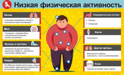 Физическая активность и ее роль в стимуляции аппетита