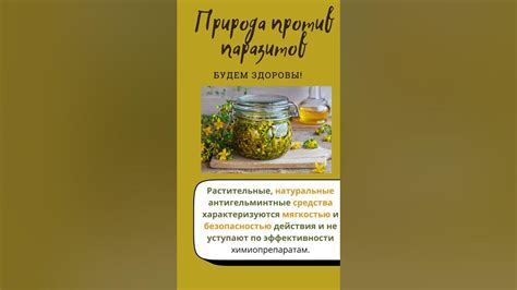 Эффективность адвоката против паразитов