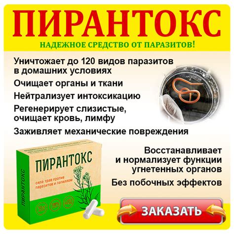 Эффективность стронгхолда против паразитов