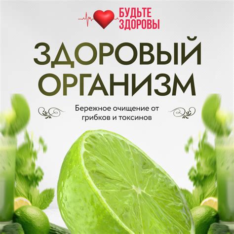 Алоэ помогает очистить организм от шлаков