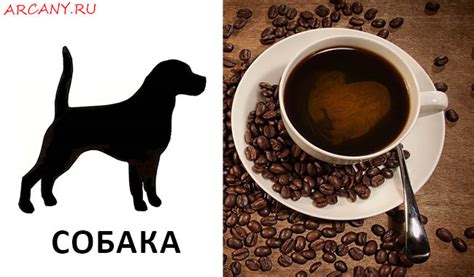 Белая собака на кофейной гуще