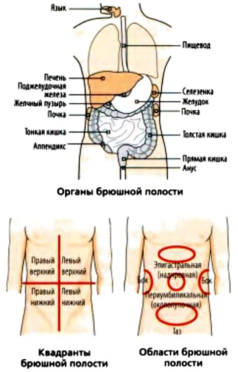 Болезненность брюшной полости