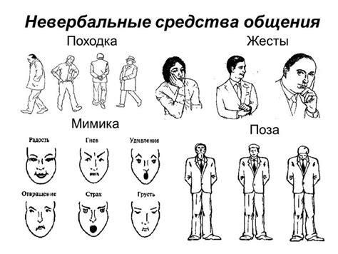 Важность общения и язык тела