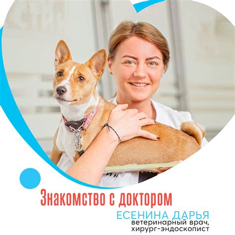 Важность своевременной консультации с ветеринарным врачом