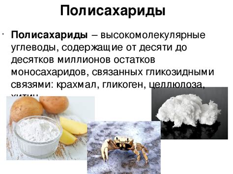 Важные компоненты рациона