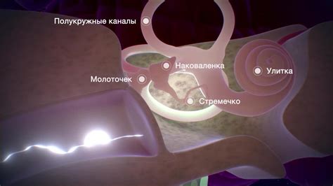 Вводные сведения о звонке Lexman