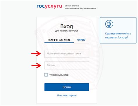 Ввод данных аккаунта reg ru в соответствующие поля