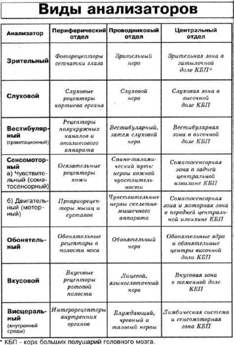 Виды и особенности магнитных анализаторов